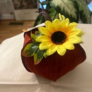 Pumpkin Decor
